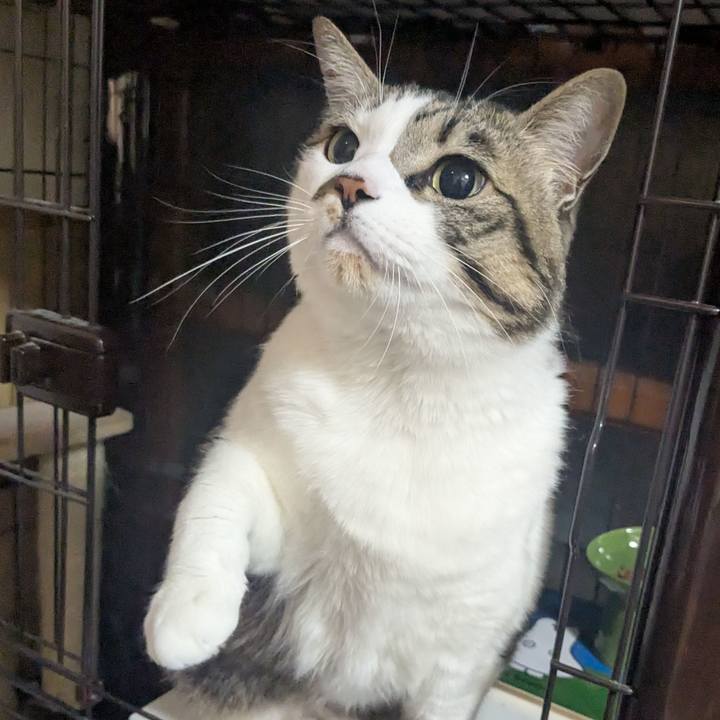 54ebdc85 90e3 4941 af88 9eba5c025788 1770510634805