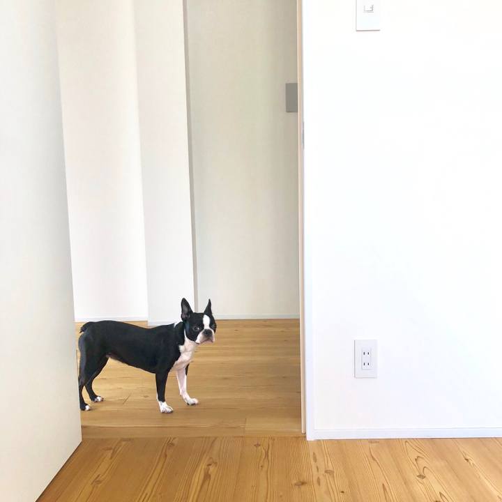 54ebe1bc 6e03 49bb 862e 83cbeb0c7a2c 1537058519476