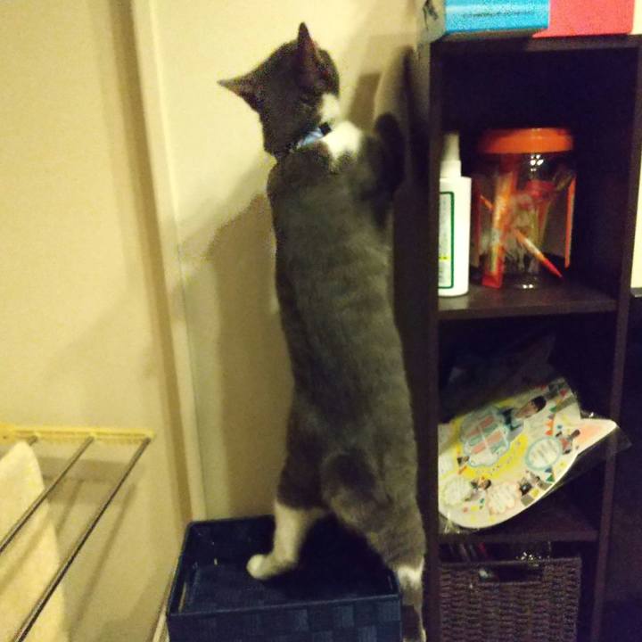 54ec0224 7f85 4cb5 9863 91491e97417d 1599054283974