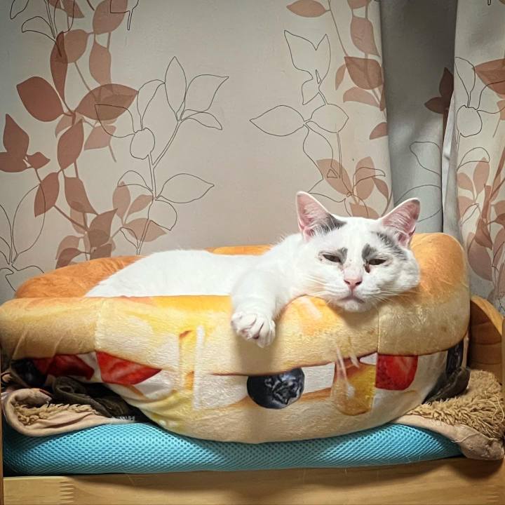 54ec0582 21c8 4a61 a2c0 9fa8eb27e626 1652103852362