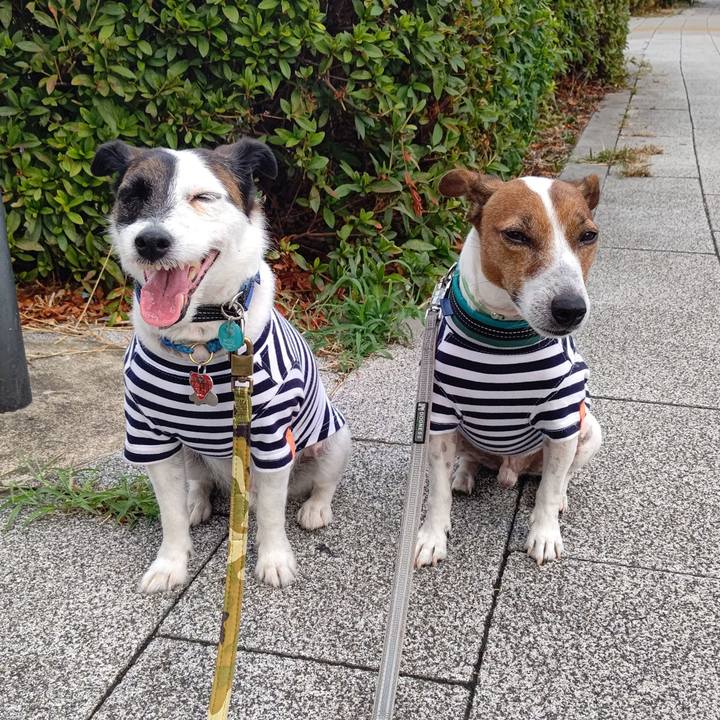 54ec7c77 ba11 4829 9eb8 e7ba9eb607a9 1691531501382