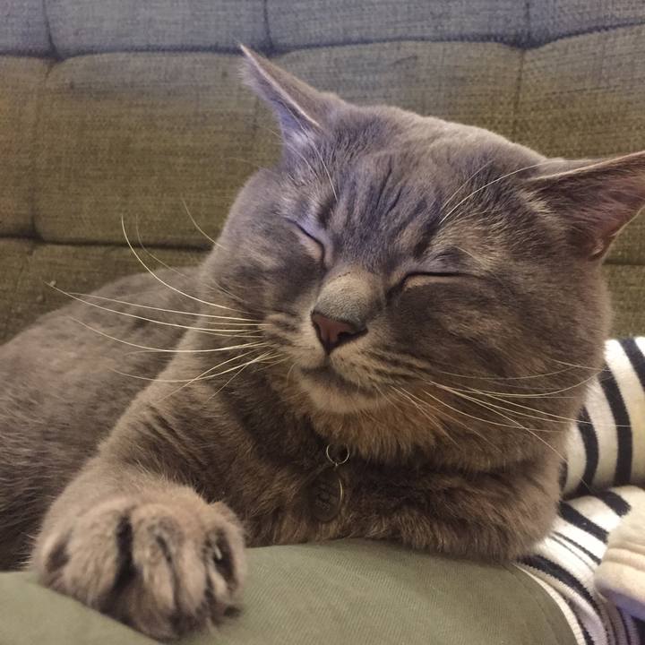 54ec8f23 7f4a 4ad0 a6e8 fcc4d3b0d145 1529759424970