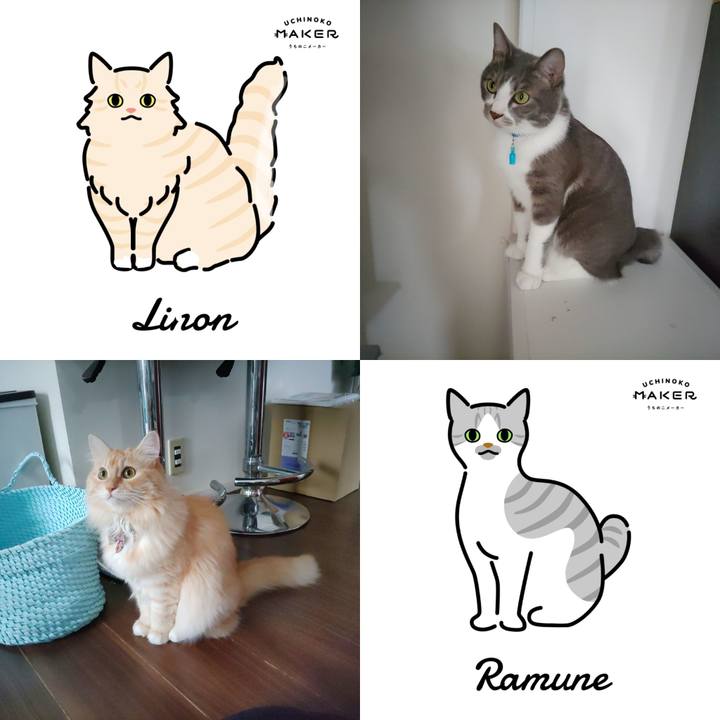 54ec90d4 dd98 44ab a93b 506adb1e8a62 1659748175189