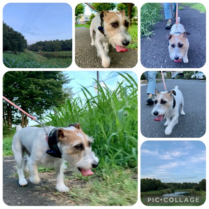 54ec9683 b2e6 43a3 8394 262c600cdc1f 1660138884224