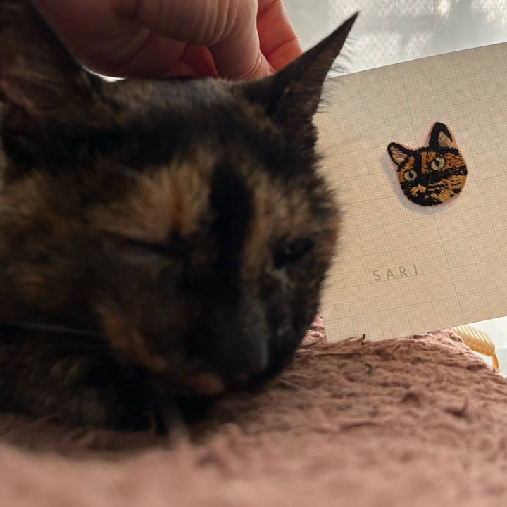 54ecb588 1b35 48c9 8c0d 1693c4553605 1678176757053