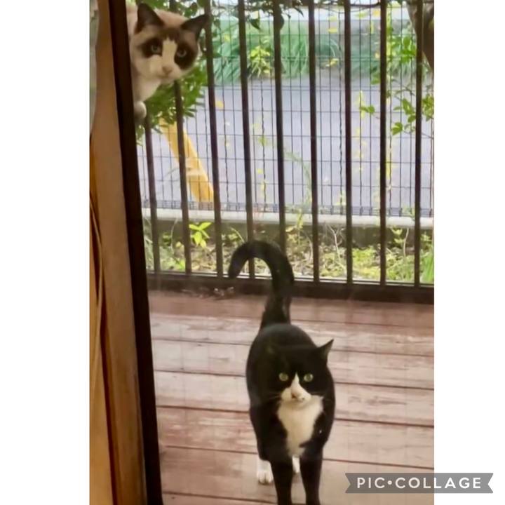 54ecdea9 967b 43c4 84b6 9087198862e3 1733218936512