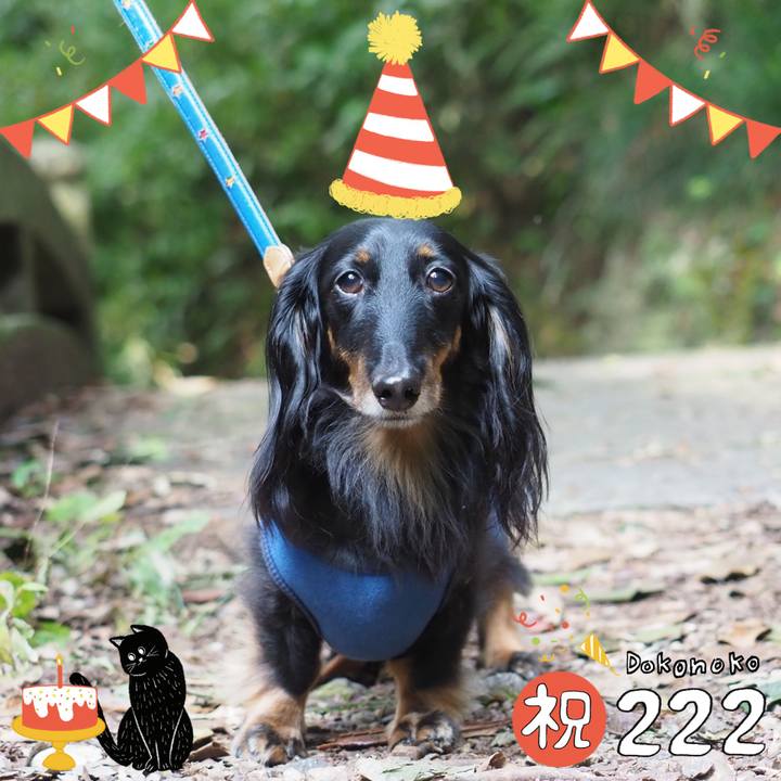 54edaf6e 13fa 4ac1 a6f7 7e6906cd7cb2 1645517237118