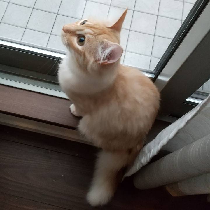 54edce53 9e24 4f2d a591 6ca6c5f25e6b 1618264551404