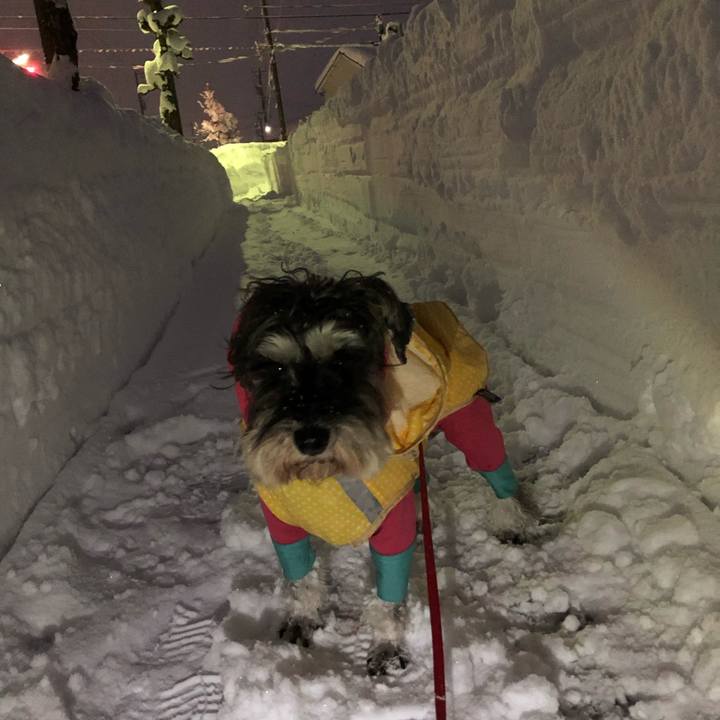 54edd5b5 0952 4e5a a1e9 140e6df6ecdb 1610195937315