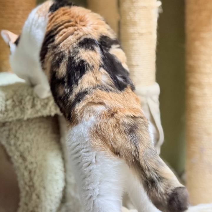 54eddfe2 2314 4c75 856c 605b9f2d9e93 1740363371814