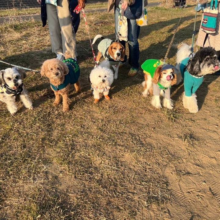 54ede096 52b0 4b2d b35b eeeabb1d2096 1735956515305