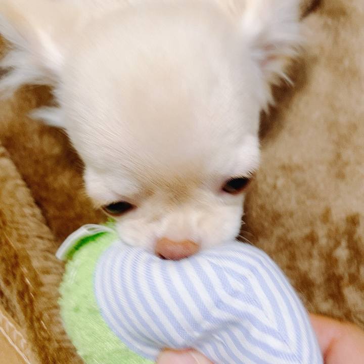 54ee245a 7b6c 4801 b0da f30f9d9ddd5d 1591179495662