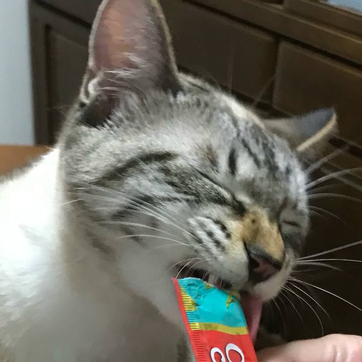 54ee4124 5856 4e6f 9750 08df8bfd70a0 1626097393499