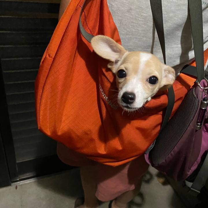 54ee7b1a 5f8d 4aca bd58 bf05b522cf65 1663587559624