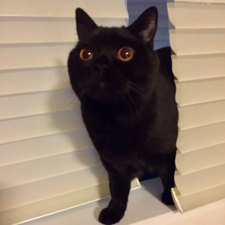 54ee88fc c388 4cc3 bb4f 628de7e692c1 1519909075045