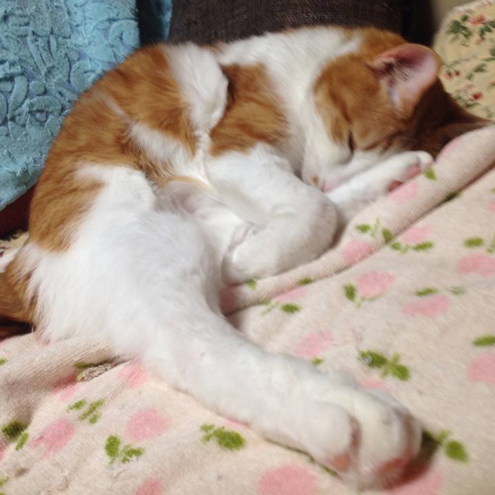 54eebe80 8380 48be a25f 3f1f38f9652f 1509973239767