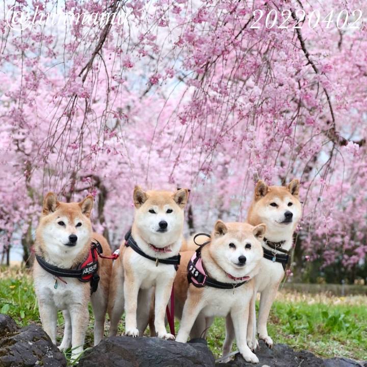 54eef404 d3b9 4605 9123 0b68f152196d 1773759284227