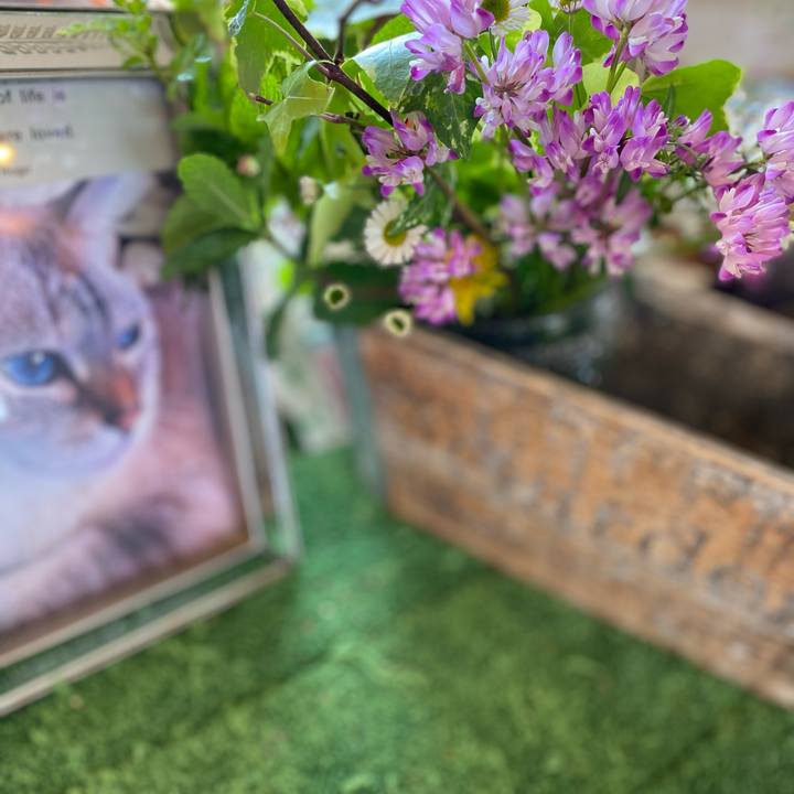 54ef198c bcca 4c17 b5af ca2aea1ca764 1617767867585