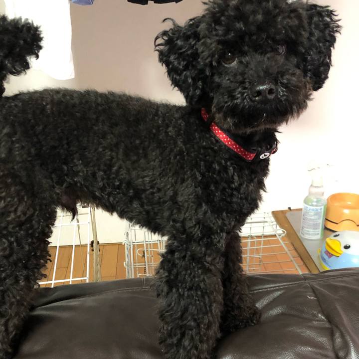 54ef255e 7780 430c bce5 adc712dbb8f9 1561376066613