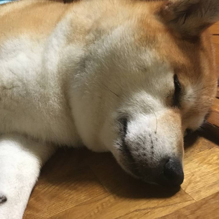 54ef3046 f7d4 46de 8011 b1207ad83a2b 1598875213159