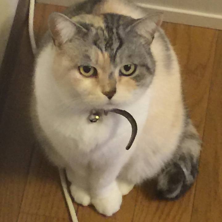 54ef756c db9c 4fd2 85aa 81e1856c7a79 1552133439955