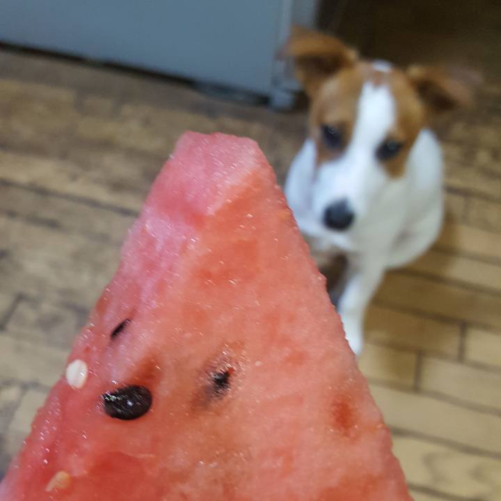 54ef76e3 3122 4cf8 b51e 93dfe7e03db8 1559556757589