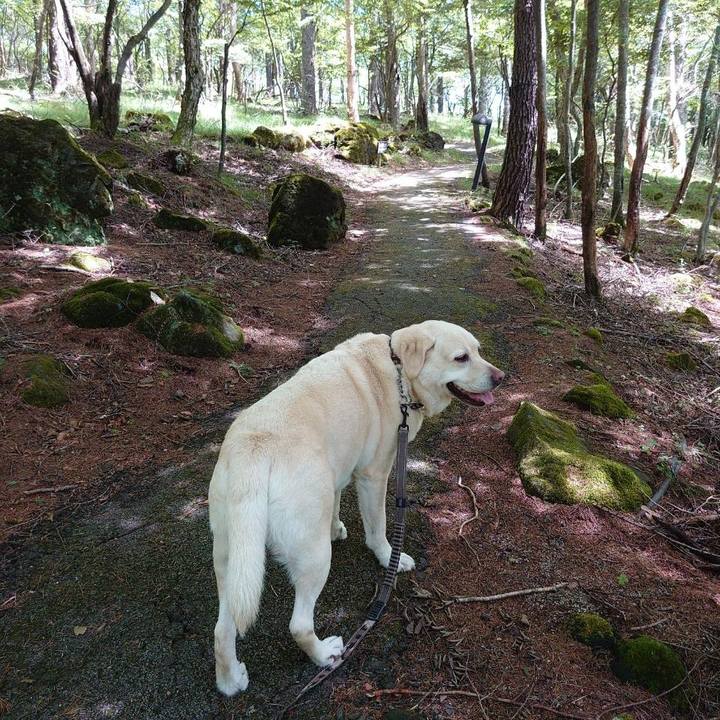 54efbadf b8e1 409f 9dba 8e7ddc21207b 1722574119263