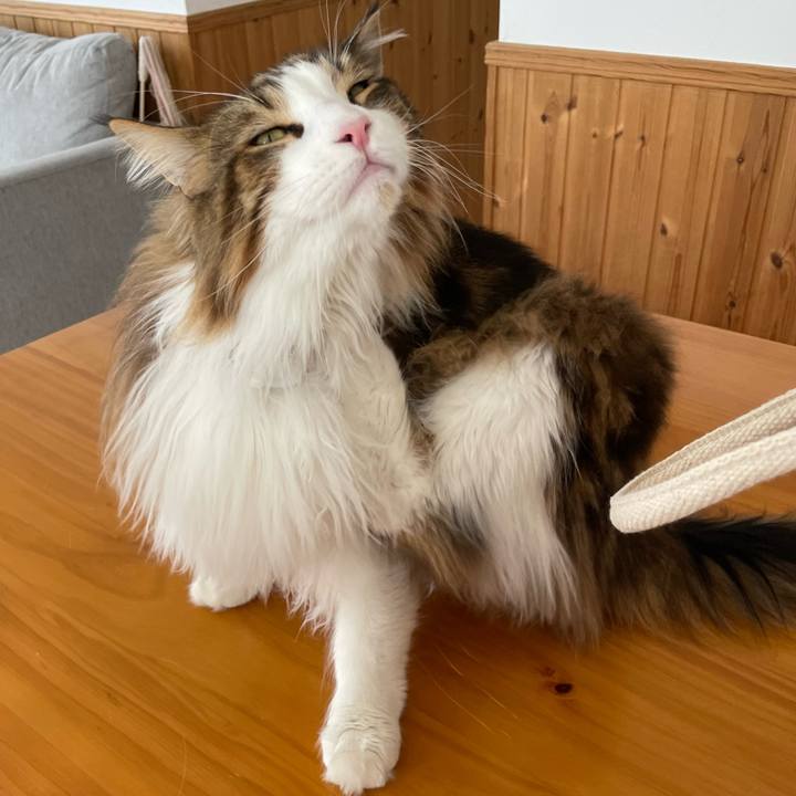 54efd508 fa38 465c b6fa aa6fab087425 1681540315831