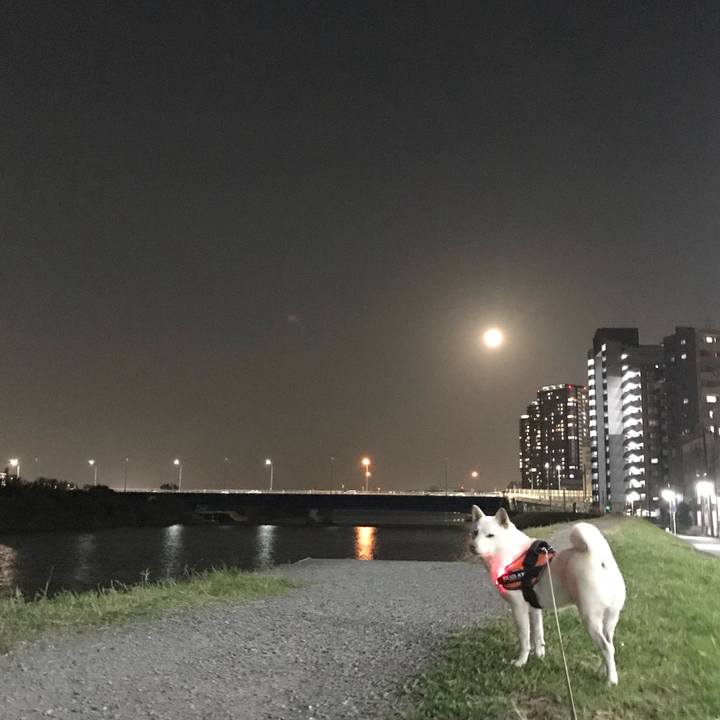 54f0293c 64d2 4145 b44d 95fafb6ab735 1540460759600