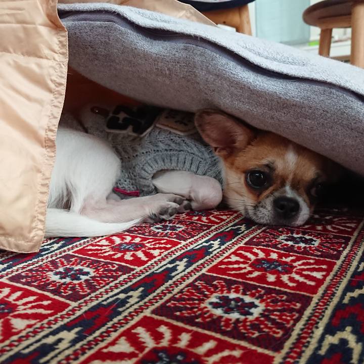 54f04a4e 37af 4f5c 913a 3eb6439ca453 1544411371902