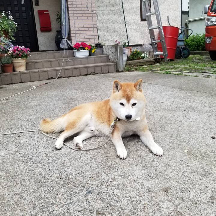 54f05b5b b331 4cfc 8828 bbb7db45eefd 1652517082750