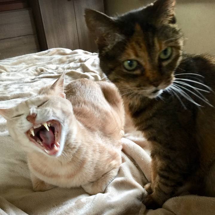 54f05d0d 9a95 40ad 9477 086169354d24 1562049143719