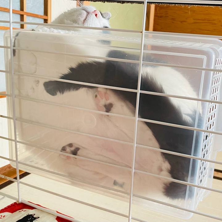 54f05df6 82cc 4c17 93c1 12fc0bb7d861 1660528543393