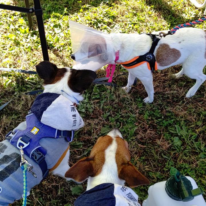 54f066d3 b85f 4dab 8715 a279c9889dc4 1635922567297