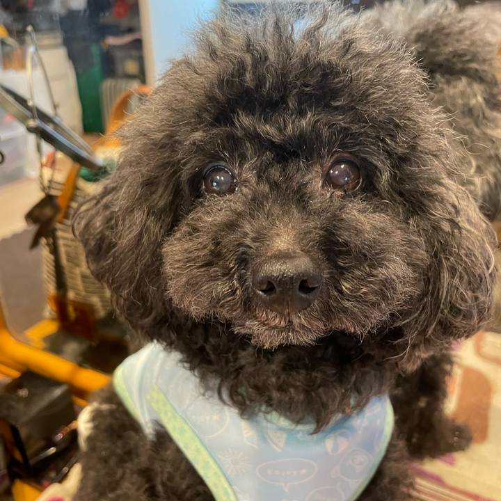 54f0d7c5 3df8 48bb 90e1 f7bde451bee8 1650925518393