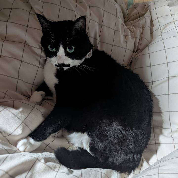 54f101b0 6b27 4a47 8ff6 6723eda61437 1767701196574