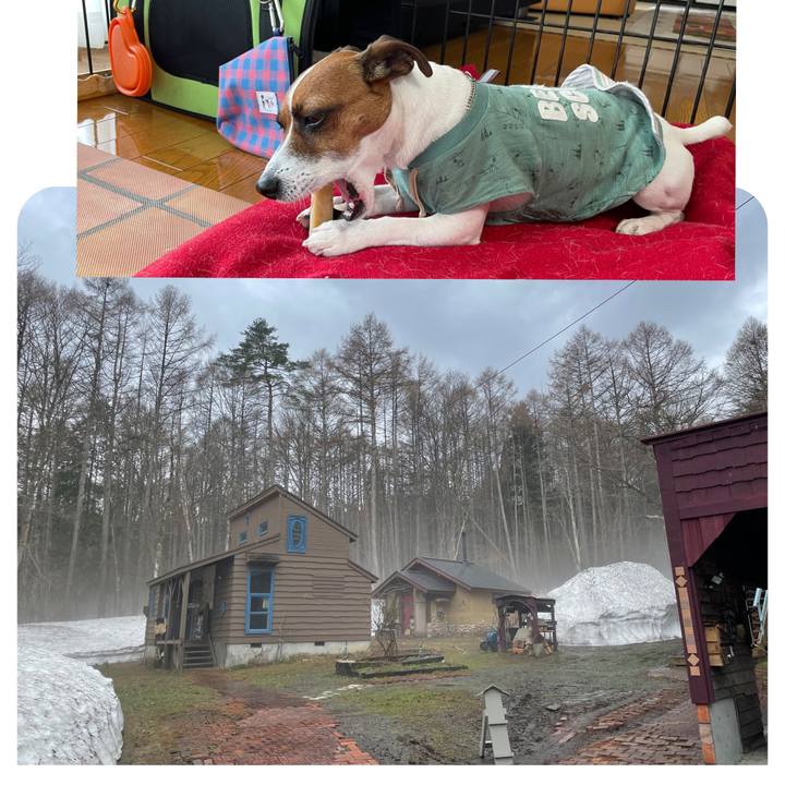 54f133d4 cc45 4526 8b88 775dc1e6c779 1649986761444