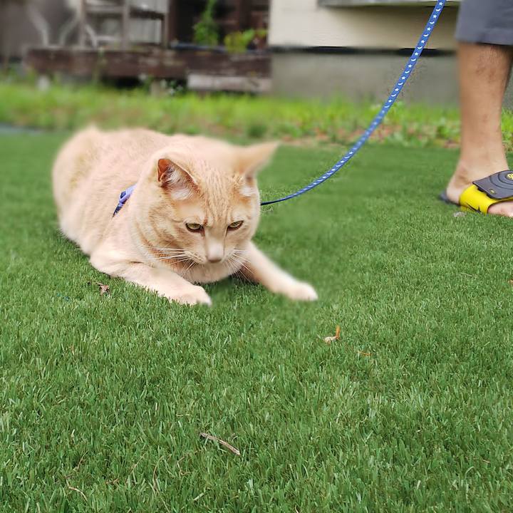 54f13f55 c45f 439f bc3c 495d8129eb18 1566098755733