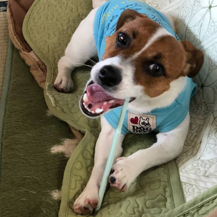 54f16791 dc59 4d5d 9cc7 76c862f40741 1527552786069