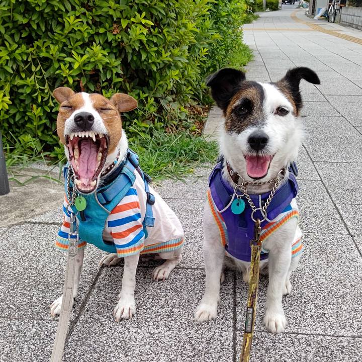 54f174ec f815 4ab6 9d44 d912b67b529d 1657403043856