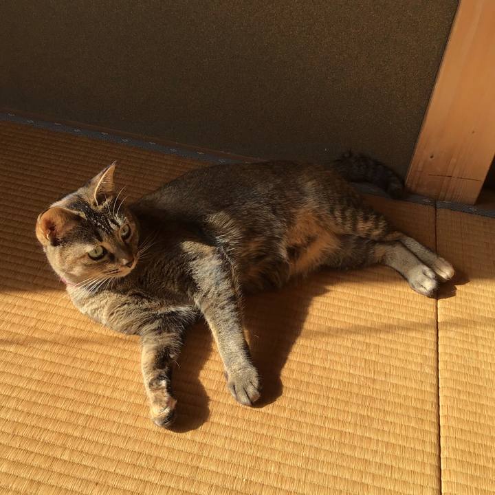 54f1889c 77fd 4e7a 82c2 1d2cf593de18 1604711230108