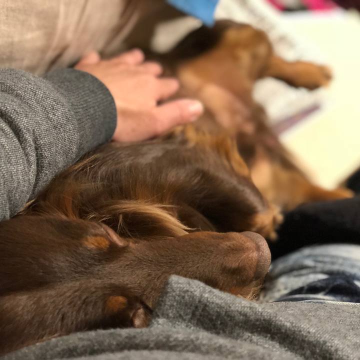 54f1a400 e713 465f 8cbe ea509ba543b2 1517138283734