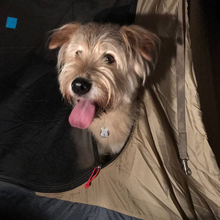 54f1b532 faaf 4cd7 9eae 7cd6638de9f9 1534162987283