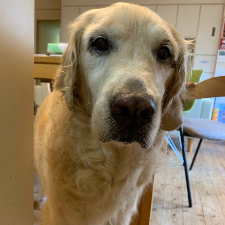 54f1bdd8 1fd4 4350 a235 ee103aa4046e 1562458323173