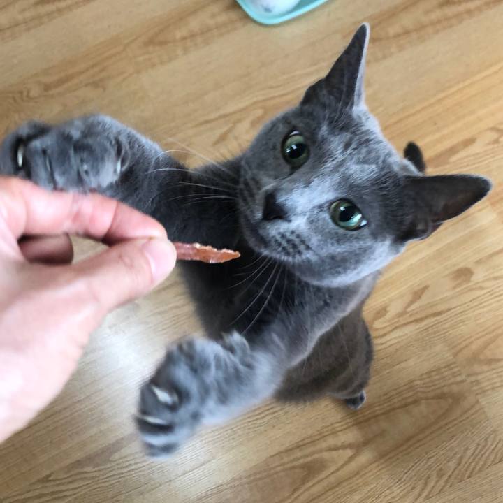 54f1e699 2dcc 4883 8efe 9082d97b9fbc 1633329120923