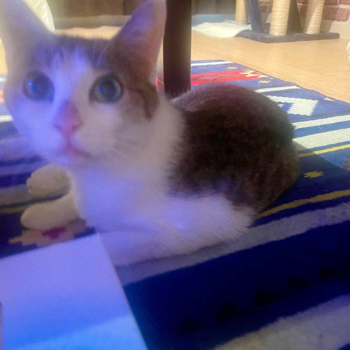 54f21c69 6e2d 461e 9edf dae8e2929b2d 1631652075039