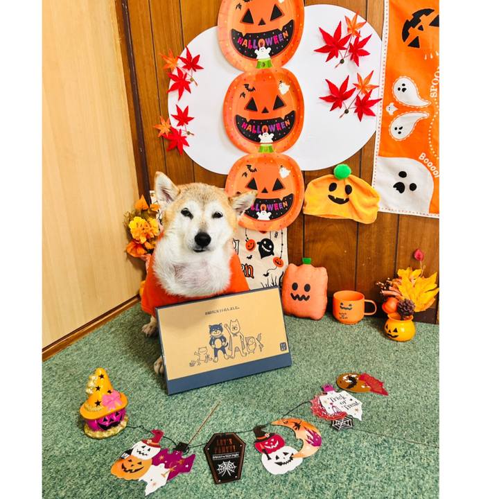 54f27822 8aa5 4d2b ad44 4a5d83ca8eb8 1761884426127