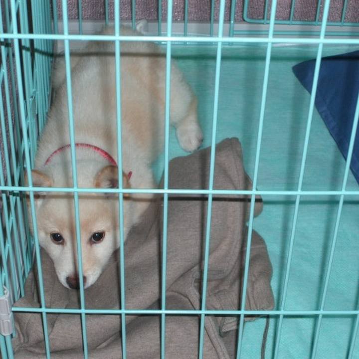 54f28087 d364 412d 8b43 99b55022f04f 1639711330264