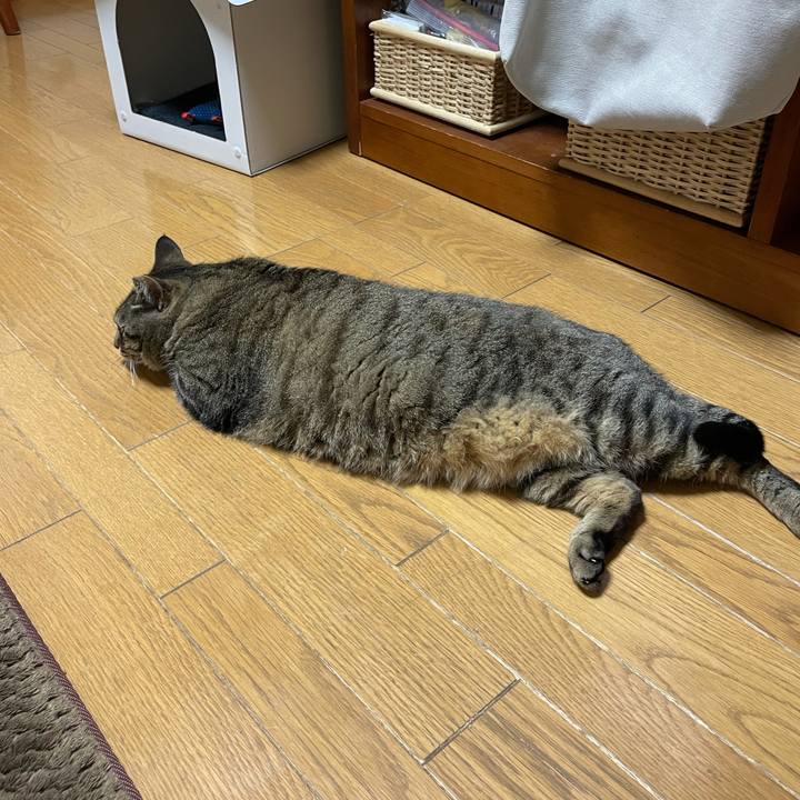 54f2a9b9 8a9d 4566 833c d2f285855ad8 1616154807699