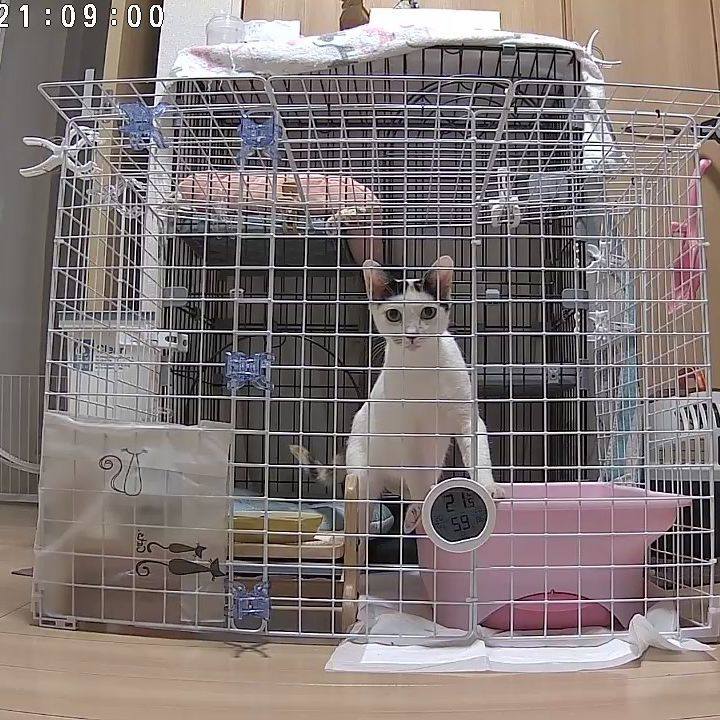 54f2f5a1 375b 4457 9fef af3832b53dae 1720700590256